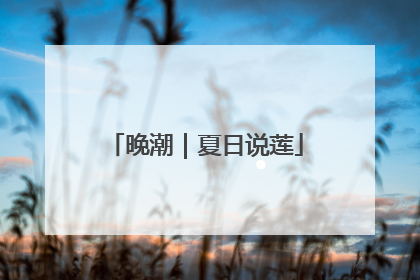 晚潮｜夏日说莲